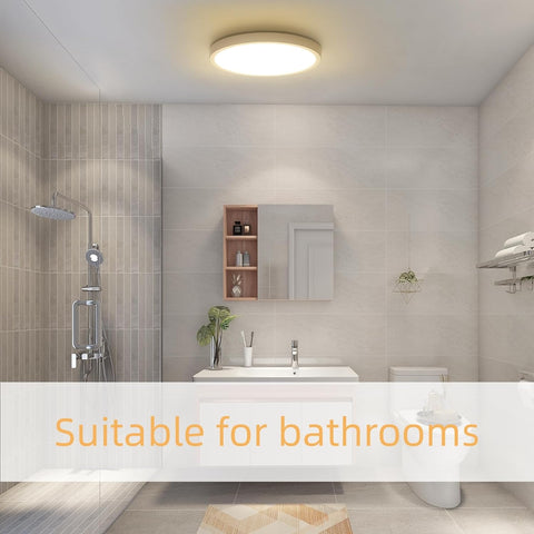 2 pièces Luminaire Plafonnier pour Salle de Bain 24W 4000K Plafonnier Lampe Moderne