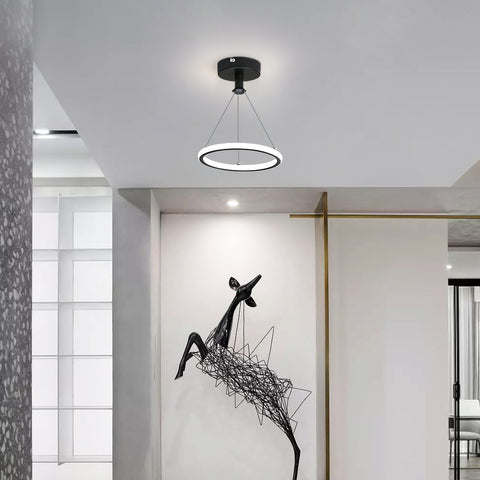Moderne Led Ring Hanglamp 32W Moderne Led Eettafel Hanglamp Acryl Led Kroonluchter, 220V, 22CM Led Kroonluchter Plafondlamp Voor Woonkamer, Eetkamer, Hal, Café, Bar, Zwart