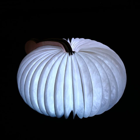 Opvouwbare boeklamp, kindernachtlampje, draagbare papieren lamp, 7 kleuren, opladen via USB
