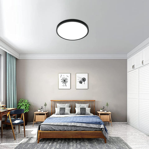 24W LED-plafondlamp, 2160LM IP50-plafondlamp, 6500K koelwit ultradunne plafondlamp, zwarte ronde plafondlamp voor slaapkamer woonkamer gang balkon badkamer kantoor, Ø30cm